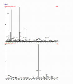 Astragalus van Cycloastragenol van de Pharmarang CD van Uittreksel98+% Hg onder 0,1 P.p.m. C30H50O5